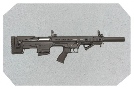 bullpup